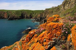 Housel Bay