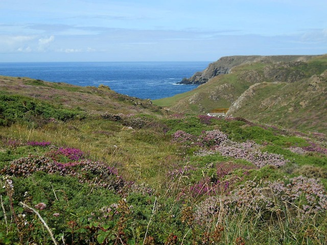 Kynance Cove