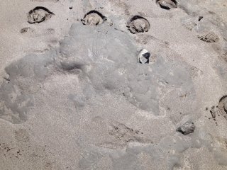 Kennack sands exposed clay - Charlotte Marshall