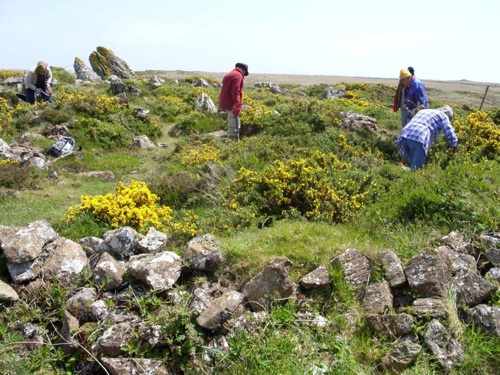 Lizard Ancient Sites Network – Practical Countryside Volunteering