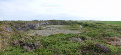 Soaprock quarry of Penruddock near Mullion Cove now home to diverse species of plants and animals. 