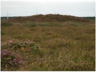 The landscape history and archaeology of The Lizard’s downs and moors