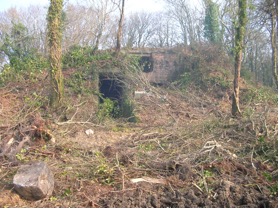 Scrub clearance starting to reveal the potential
