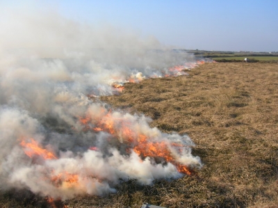 The fire front at full extent