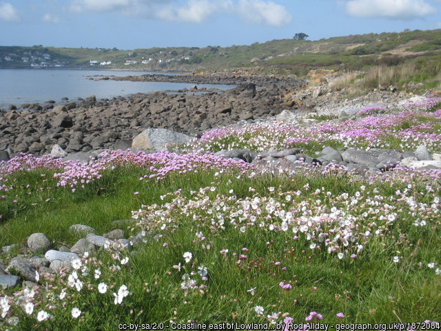 Lowland Point (Coverack)