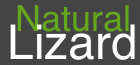 Natural Lizard Cornwall