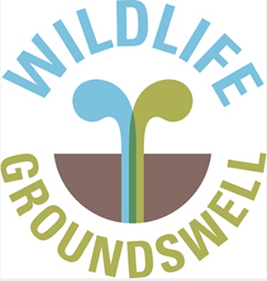 Wildlife Groundswell: autumn conference committee meeting
