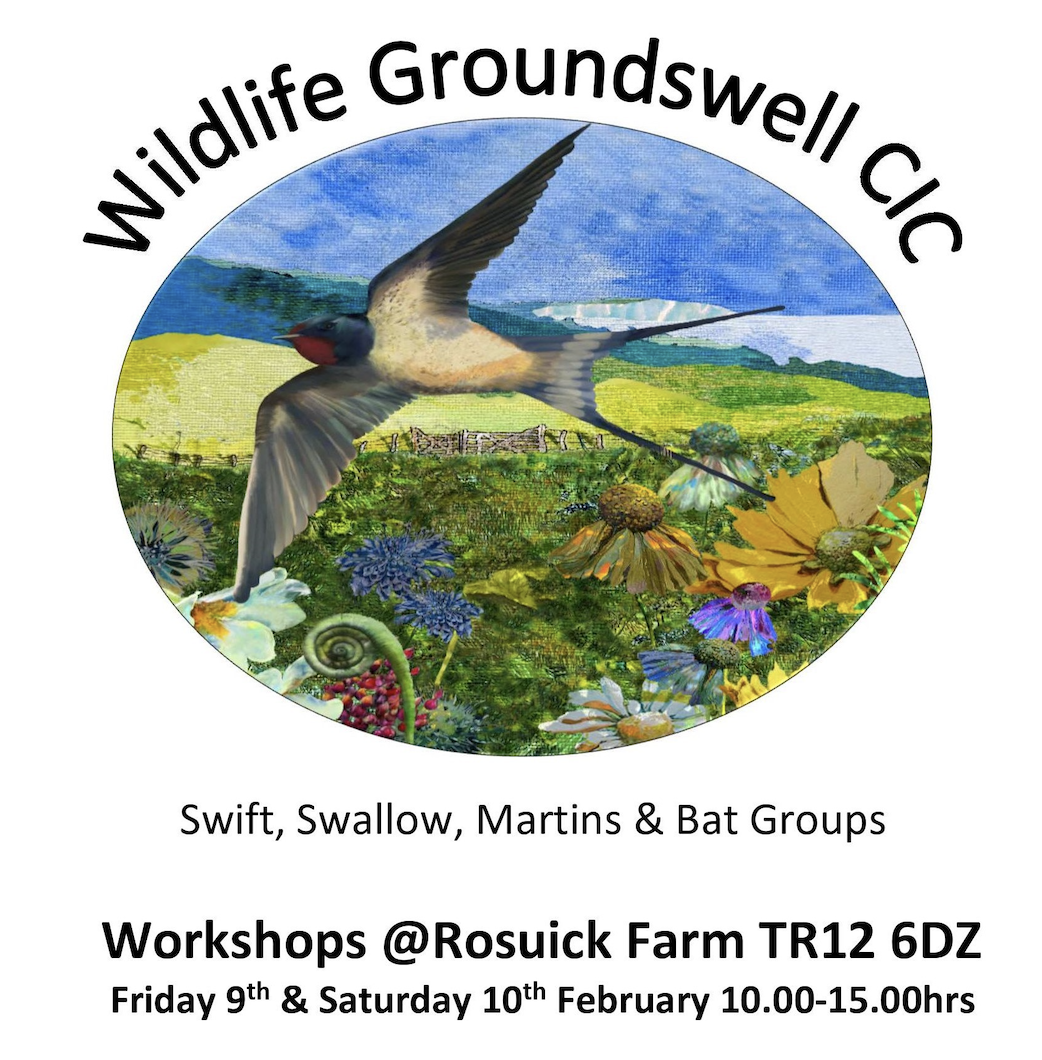 Wildlife Groundswell: swift and bat box making