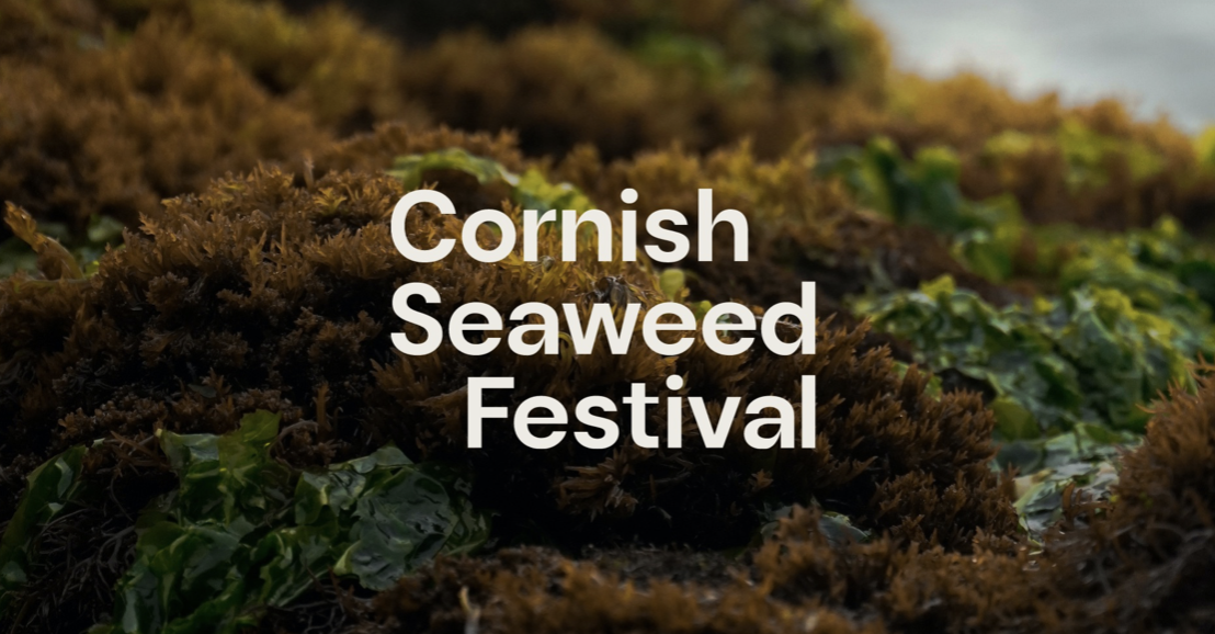 Cornish Seaweed Festival