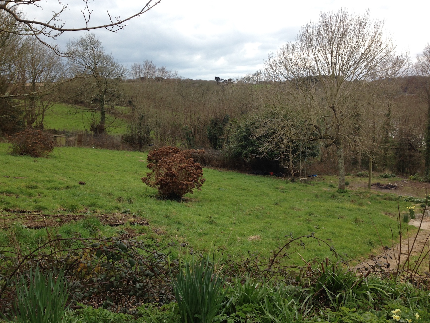 Penrose Social Walks: Degibna